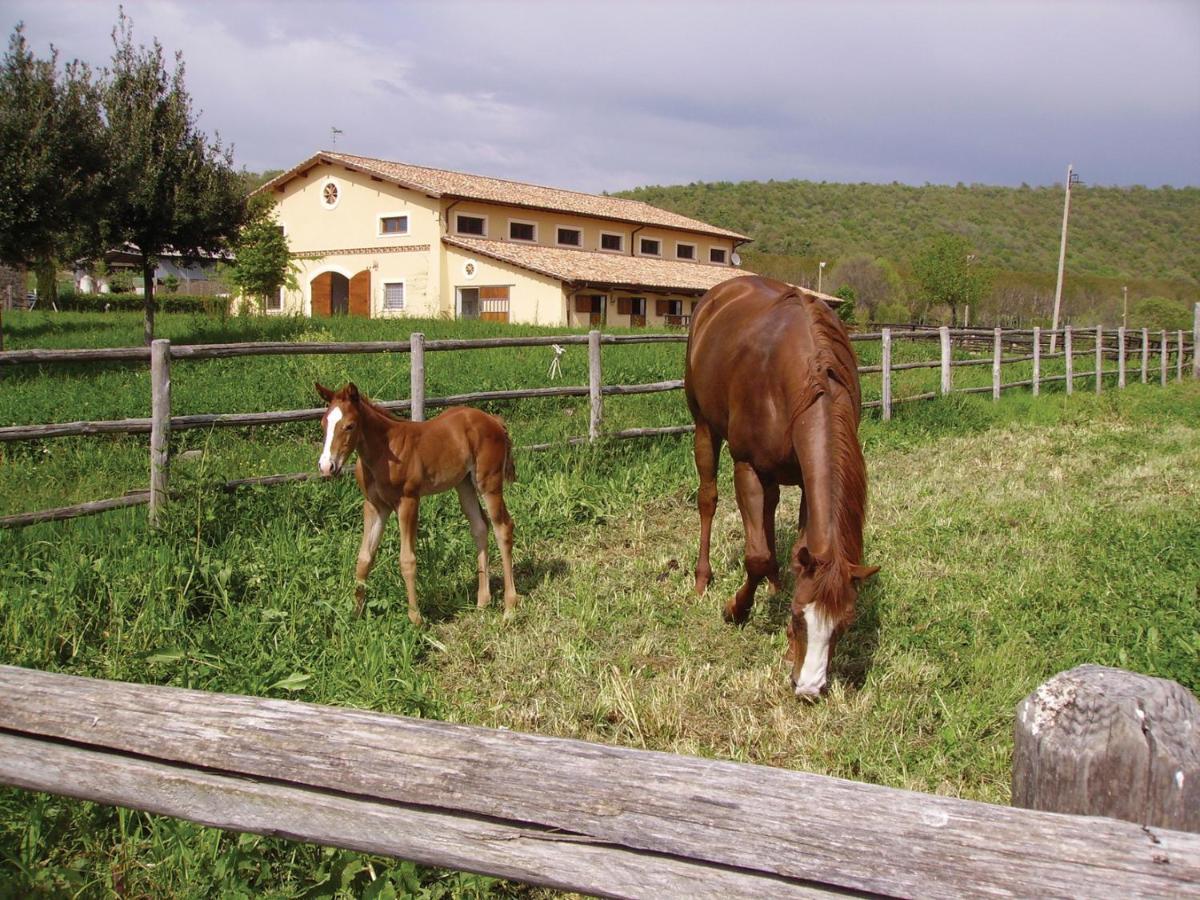 Agriturismo Potrero Grande Sul Lago Di Martignano Con Spiaggia Кампаньяно-ді-Рома Екстер'єр фото