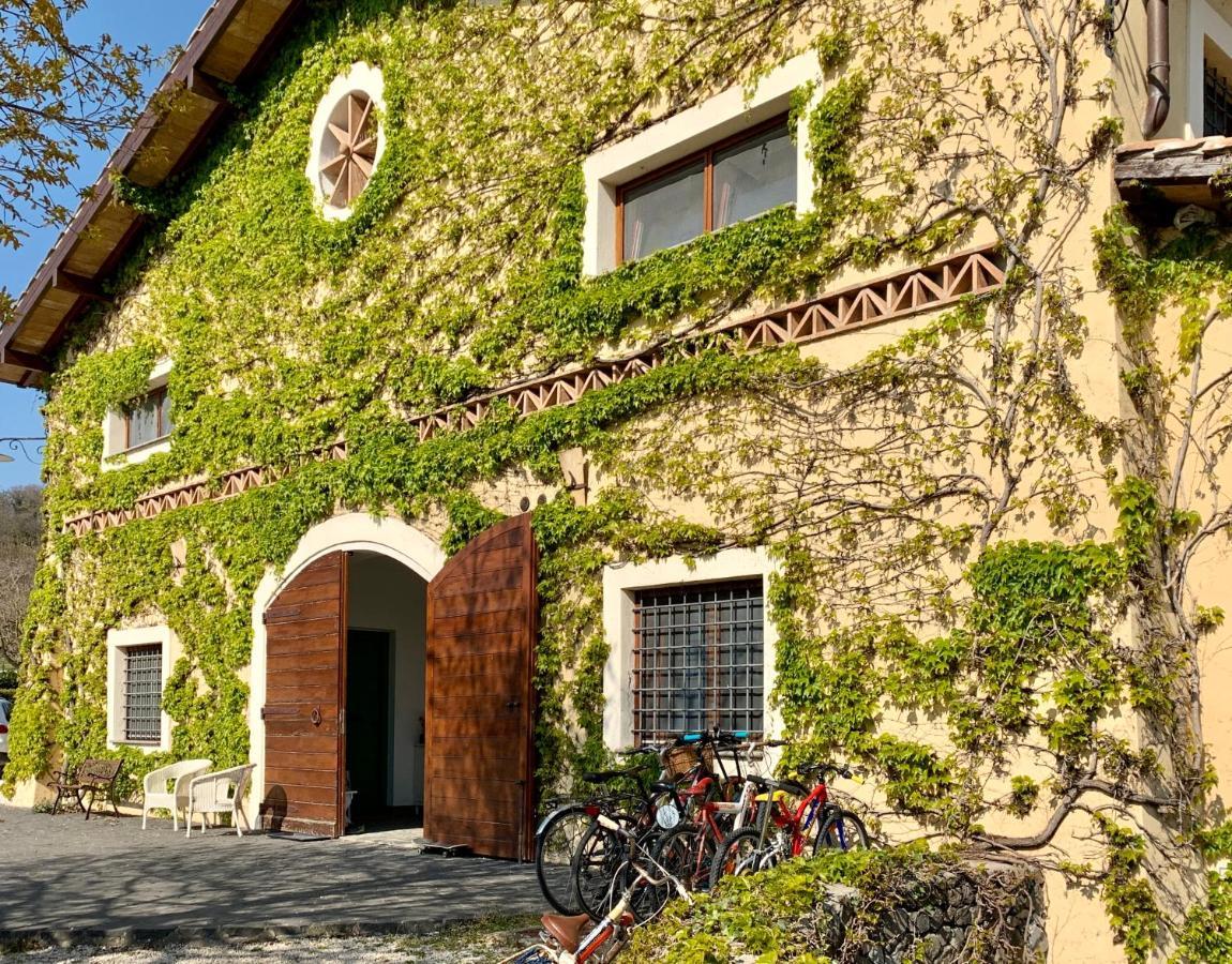 Agriturismo Potrero Grande Sul Lago Di Martignano Con Spiaggia Кампаньяно-ді-Рома Екстер'єр фото