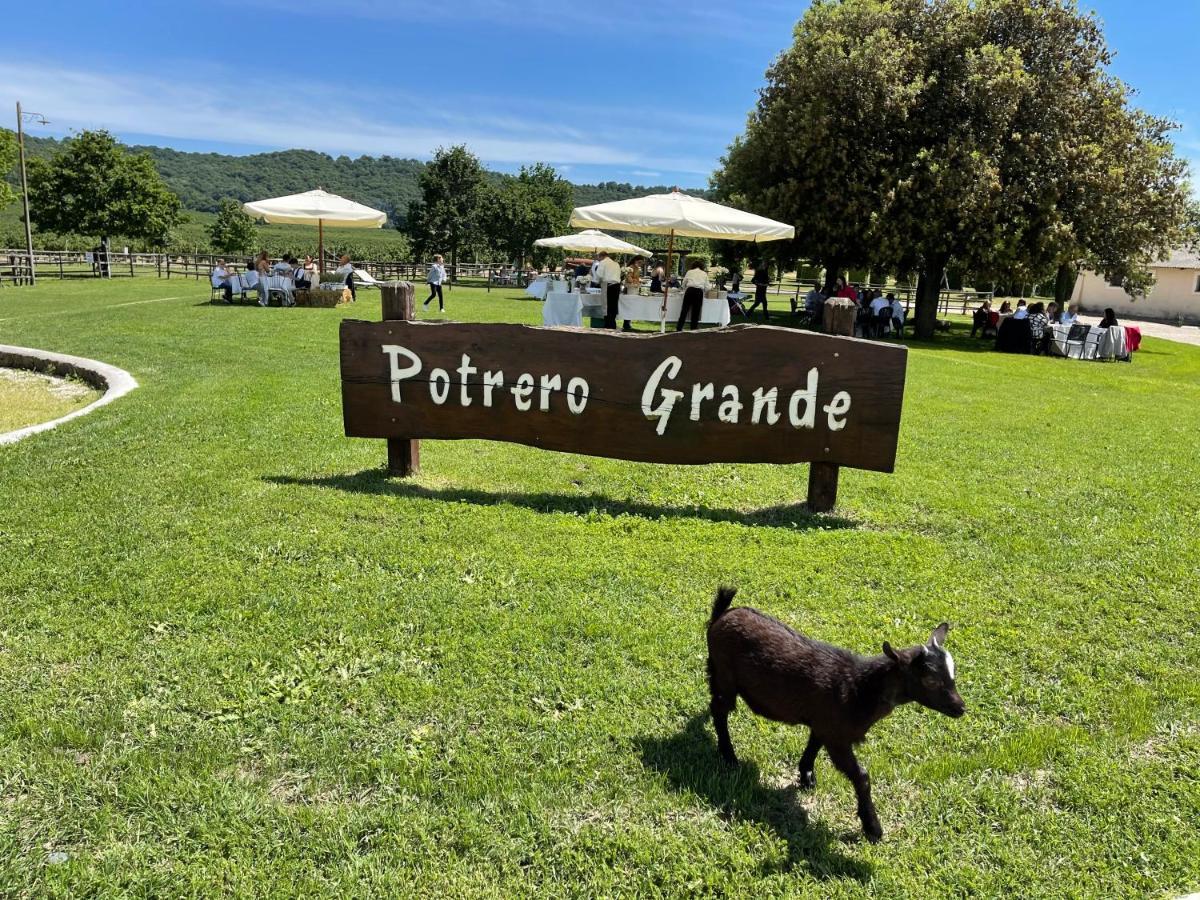 Agriturismo Potrero Grande Sul Lago Di Martignano Con Spiaggia Кампаньяно-ді-Рома Екстер'єр фото