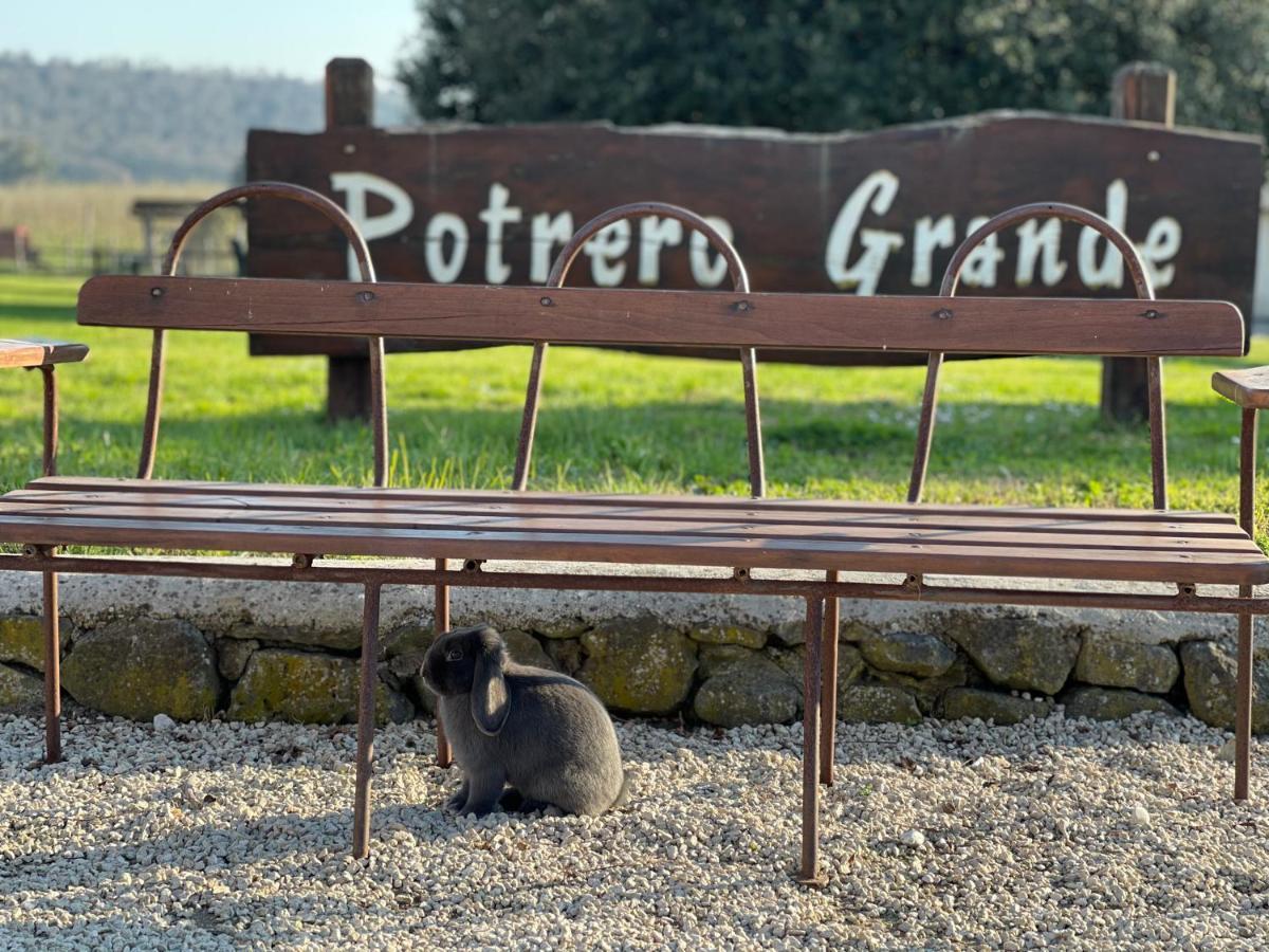 Agriturismo Potrero Grande Sul Lago Di Martignano Con Spiaggia Кампаньяно-ді-Рома Екстер'єр фото