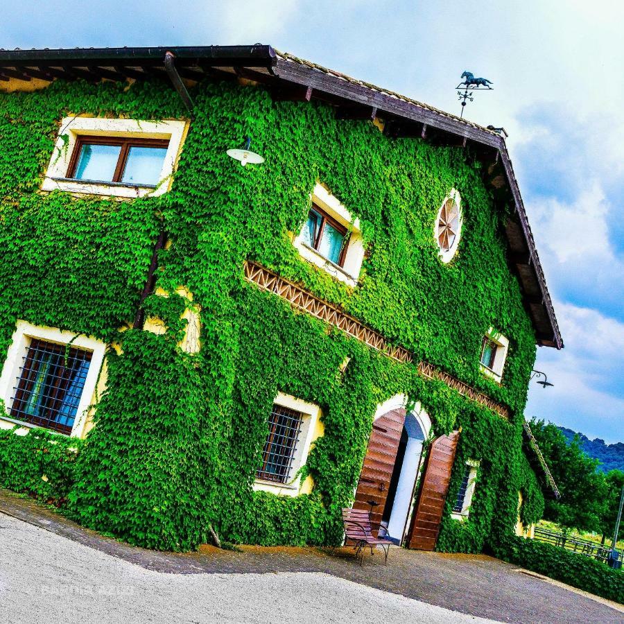Agriturismo Potrero Grande Sul Lago Di Martignano Con Spiaggia Кампаньяно-ді-Рома Екстер'єр фото